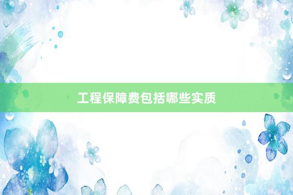 工程保障费包括哪些实质